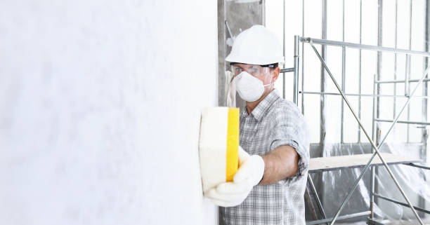 Reliable Irving, TX Mold Inspection Solutions